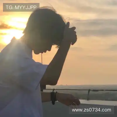 梅鹃仪